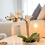 Large Apartment On Rua Augusta